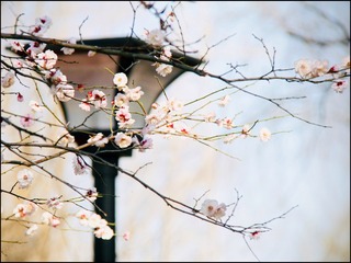 FE54129D-C1CC-47EC-B0B1-86E9D5BB09ED/L0/001