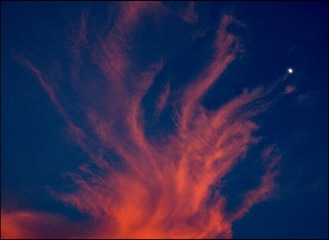 7BDCD974-A1E3-4B3C-A01B-B8E41A098760/L0/001
