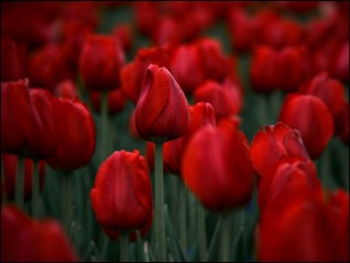 0FD60142-D0D7-42A7-82A7-7144EE9642D7/L0/001