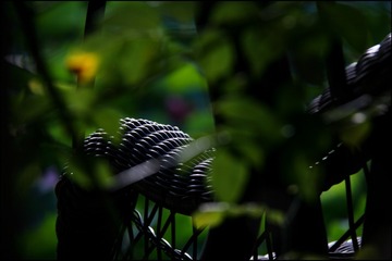 65224C2E-5329-4B8C-B996-B4EF957BB1E1/L0/001