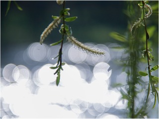 14BB1512-F408-4330-803A-D5C1022F5BD4/L0/001