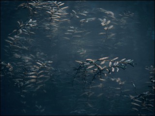 CA55A841-46C0-483A-91BF-E00AD722231A/L0/001