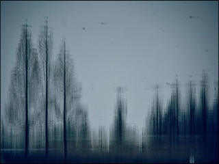 35032FF5-5638-414C-9D3E-8D332EF048D1/L0/001