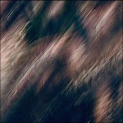 D21F6D67-0508-45CA-A8D7-BD8D475428E0/L0/001