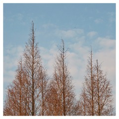 55268207-6DBD-4C6F-B6F1-8F9B89250E46/L0/001