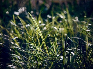 FA3723FC-96F4-48AA-82E4-2D83C8D821E5/L0/001