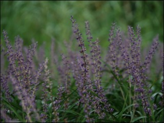 C67D1C48-AC18-47F9-9280-DF8E9F929E26/L0/001