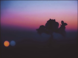 5F4FE7D3-C6E7-4E31-B069-76D42C70F5F6/L0/001
