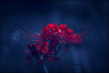 A2D5DB84-3FE7-4B11-96A9-D670E843A2CE/L0/001