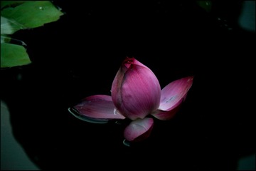 A0413B3E-9567-48FB-B40B-CD5EDA00E51F/L0/001