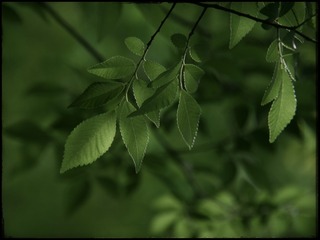 451867E0-3F18-44B8-8D00-682E7F333C02/L0/001