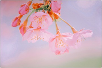 9684D0EC-4182-4921-836F-81313B2A41CC/L0/001