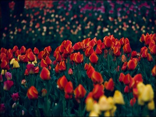 91E98826-523F-40E9-9E9B-C7ACFE6281EF/L0/001