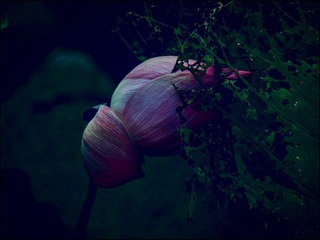 9D57A94C-E860-49E0-92AE-F7C73B003365/L0/001