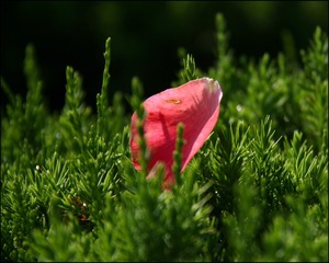 D0E89EC0-D04C-4943-803F-4B7976869987/L0/001
