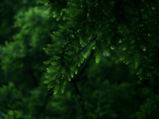 5C4F5DD7-5128-4842-A457-855F9A1E35F6/L0/001