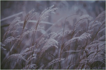 249B7887-C6D3-486A-9B02-B9DEE65392BE/L0/001