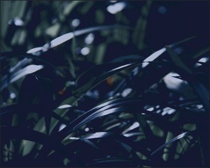 B6DF0CF4-CB98-47B9-9586-4E50F51007C4/L0/001
