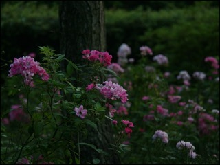 8F36F6A0-FC9E-4050-B80D-D4B6F9622E5F/L0/001