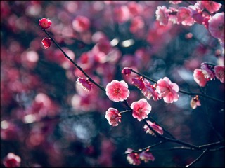 0F7CD842-05CF-4789-B428-9184DD2F686D/L0/001