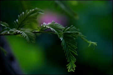 077048AB-2EB7-496F-9ACB-55FC1F8BA4CC/L0/001