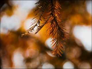 0AB67DB6-93D8-4475-B508-C0456E829DD2/L0/001
