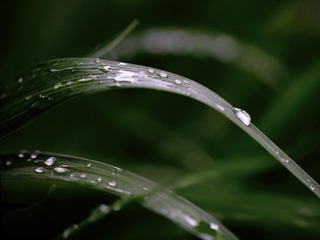 E5EF5D58-9F8C-455A-855E-4F3A57D56AE3/L0/001