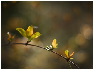 F479029D-0E7F-485A-B4B5-4C9268CB85F3/L0/001