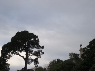 DSC00673.JPG