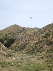 DSC07160.JPG
