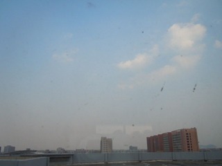 DSCN1313.JPG