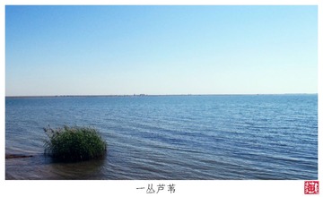 IMG_1815 1
