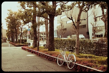 街边20120123.jpg