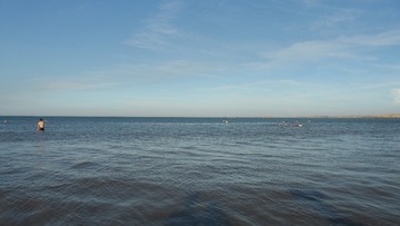 SAM_3912