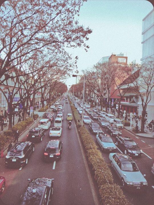 日本<br />
