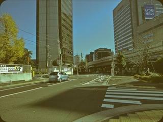 DSC01506.JPG