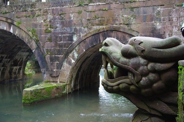 IMGP1136.jpg
