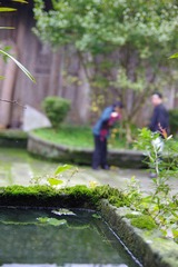 IMGP1189.jpg