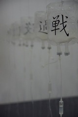 IMGP1732.JPG