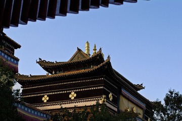 IMGP9697-1.jpg