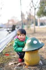 DSC_7518.jpg