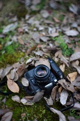 DSC01503.jpg