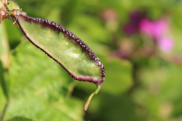 IMG_0252 - 副本.JPG