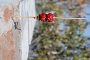 IMG_0392.JPG