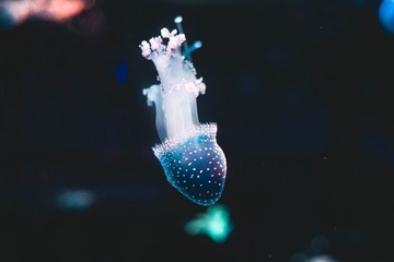 859924