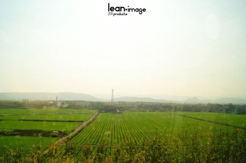 20111110-DSC03134.jpg