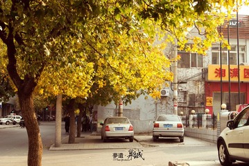 20111110-DSC03140.jpg