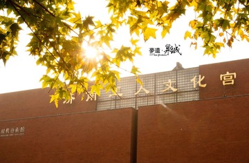 20111110-DSC03141.jpg