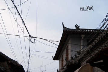 20111110-DSC03156.jpg