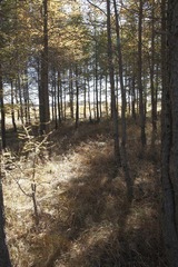 2011-10-03 09-57-27_006.JPG